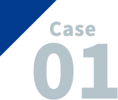 CASE 01